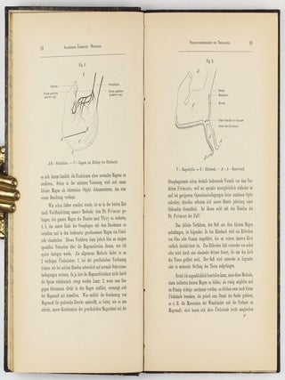 Die Arbeit der Verdauungsdrüsen. Translated from the Russian by Dr. A. Walther.