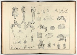 Anatomischer Atlas des Menschlichen Körpers in Natürlicher Größe, Lage und Verbindung der Theile: in 84 Tafeln und erklärendem Texte.
