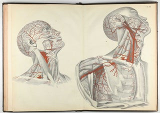 Anatomischer Atlas des Menschlichen Körpers in Natürlicher Größe, Lage und Verbindung der Theile: in 84 Tafeln und erklärendem Texte.