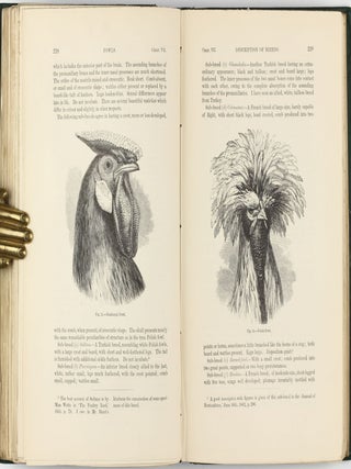 The Variation of Animals and Plants under Domestication.