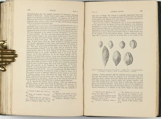The Variation of Animals and Plants under Domestication.