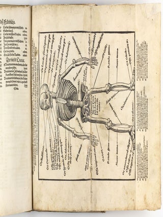 Feldtbuch der Wundtartzney.