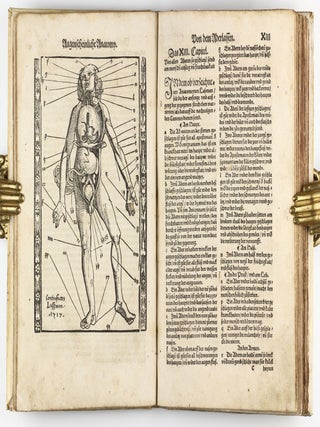 Feldtbuch der Wundtartzney.
