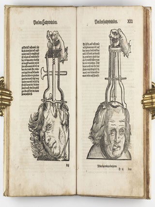 Feldtbuch der Wundtartzney.