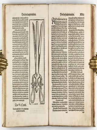 Feldtbuch der Wundtartzney.