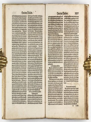 Feldtbuch der Wundtartzney.