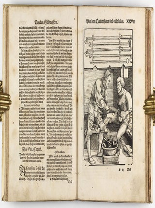 Feldtbuch der Wundtartzney.