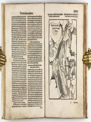Feldtbuch der Wundtartzney.