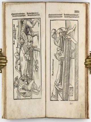 Feldtbuch der Wundtartzney.