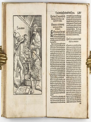 Feldtbuch der Wundtartzney.
