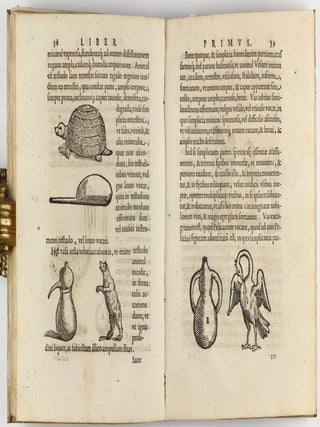 De distillatione lib. IX. Quibus certa methodo, multiplicique artificio, penitioribus naturae arcanis detectis, cuiuslibet mixti in propria elementa resolutio, perfecte docetur.