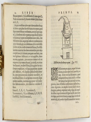 De distillatione lib. IX. Quibus certa methodo, multiplicique artificio, penitioribus naturae arcanis detectis, cuiuslibet mixti in propria elementa resolutio, perfecte docetur.