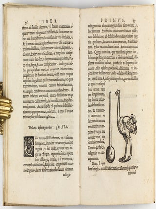 De distillatione lib. IX. Quibus certa methodo, multiplicique artificio, penitioribus naturae arcanis detectis, cuiuslibet mixti in propria elementa resolutio, perfecte docetur.