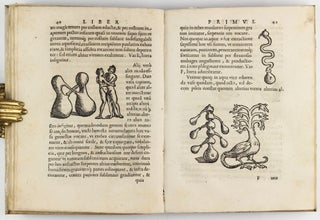 De distillatione lib. IX. Quibus certa methodo, multiplicique artificio, penitioribus naturae arcanis detectis, cuiuslibet mixti in propria elementa resolutio, perfecte docetur.