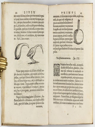 De distillatione lib. IX. Quibus certa methodo, multiplicique artificio, penitioribus naturae arcanis detectis, cuiuslibet mixti in propria elementa resolutio, perfecte docetur.