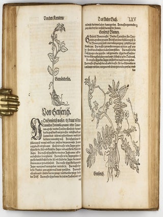 Distillierbuch der rechten Kunst, von Kreutern, Wurtzeln, Blumen, Samen, Früchten, unnd Gethier, ware Beschreibung unnd Abconterfaytung, wie man die Wasser davon bren(n)en, distillieren, halten und gebrauchen soll.