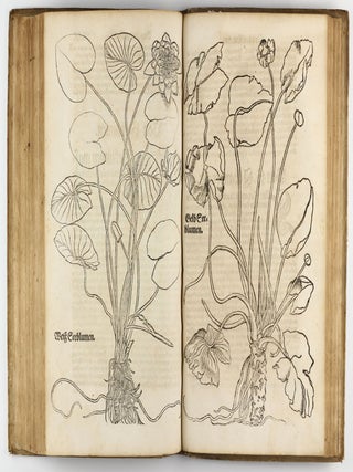 Distillierbuch der rechten Kunst, von Kreutern, Wurtzeln, Blumen, Samen, Früchten, unnd Gethier, ware Beschreibung unnd Abconterfaytung, wie man die Wasser davon bren(n)en, distillieren, halten und gebrauchen soll.