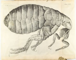 Item #003613 Micrographia: or some Physiological Descriptions of Minute Bodies made by Magnifying...