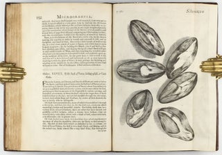 Micrographia: or some Physiological Descriptions of Minute Bodies made by Magnifying Glasses with Observations and Inquiries thereupon.