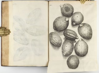 Micrographia: or some Physiological Descriptions of Minute Bodies made by Magnifying Glasses with Observations and Inquiries thereupon.