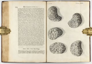 Micrographia: or some Physiological Descriptions of Minute Bodies made by Magnifying Glasses with Observations and Inquiries thereupon.