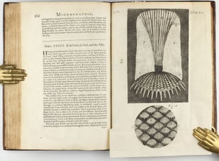 Micrographia: or some Physiological Descriptions of Minute Bodies made by Magnifying Glasses with Observations and Inquiries thereupon.