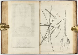 Micrographia: or some Physiological Descriptions of Minute Bodies made by Magnifying Glasses with Observations and Inquiries thereupon.