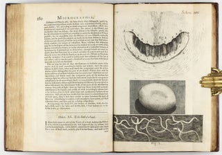 Micrographia: or some Physiological Descriptions of Minute Bodies made by Magnifying Glasses with Observations and Inquiries thereupon.