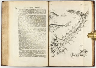 Micrographia: or some Physiological Descriptions of Minute Bodies made by Magnifying Glasses with Observations and Inquiries thereupon.