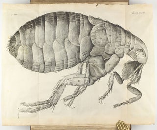Micrographia: or some Physiological Descriptions of Minute Bodies made by Magnifying Glasses with Observations and Inquiries thereupon.