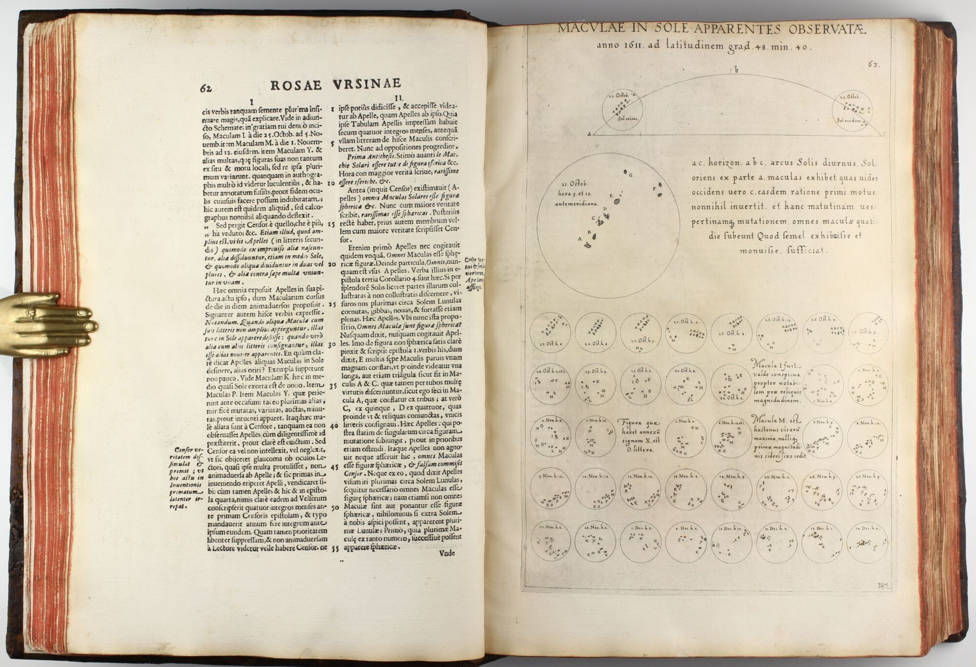 Sivesol Rosa ursina sive Sol ex admirando facularum & macularum suarum ...