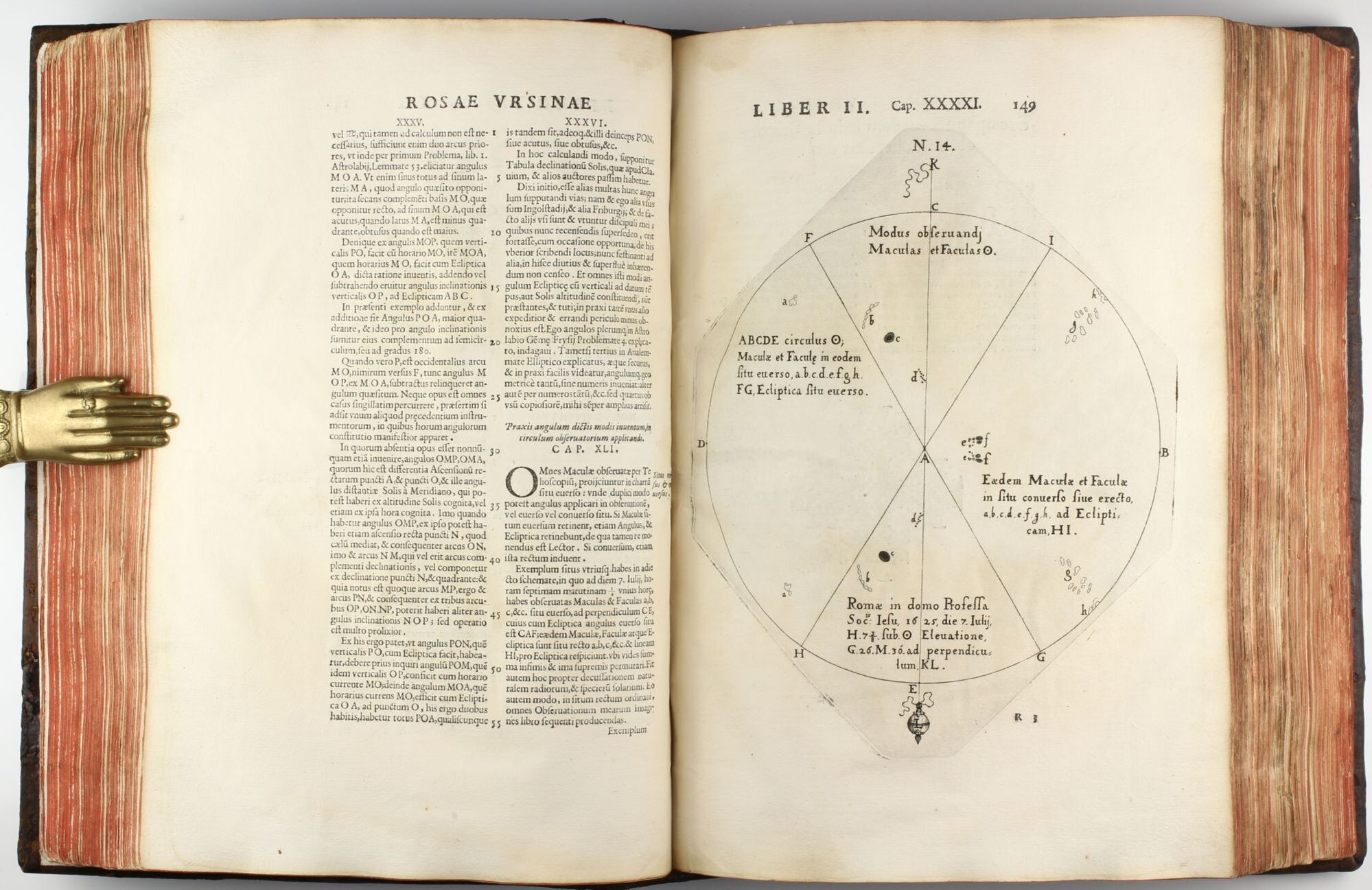 Sivesol Rosa ursina sive Sol ex admirando facularum & macularum suarum ...