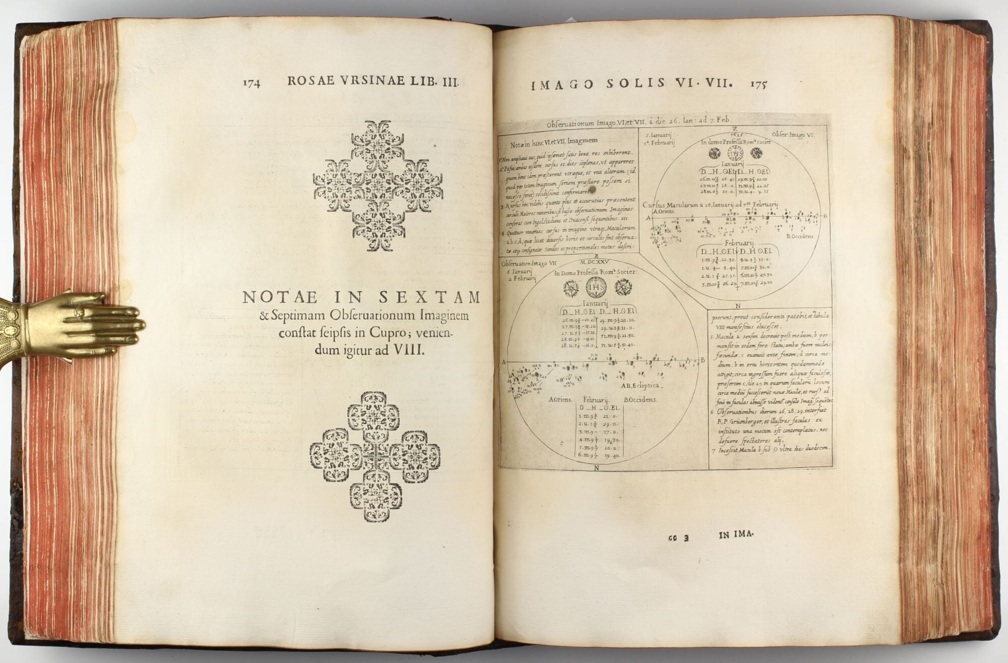 Sivesol Rosa ursina sive Sol ex admirando facularum & macularum suarum ...