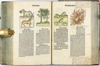 Hortus Sanitatis.