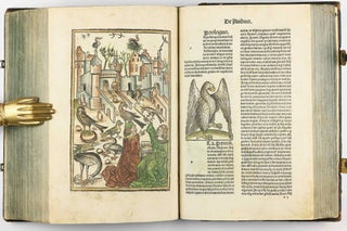 Hortus Sanitatis.