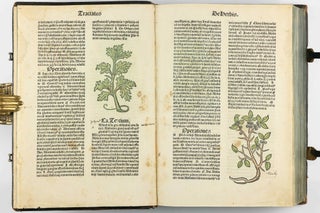 Hortus Sanitatis.