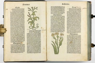 Hortus Sanitatis.