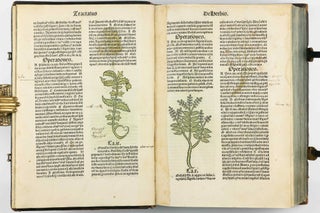 Hortus Sanitatis.