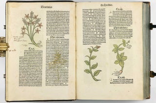 Hortus Sanitatis.