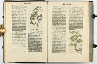 Hortus Sanitatis.