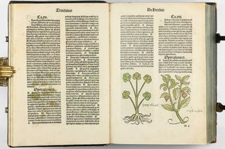 Hortus Sanitatis.