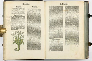 Hortus Sanitatis.