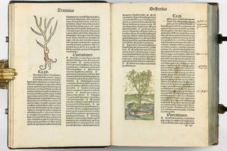 Hortus Sanitatis.