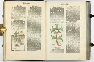 Hortus Sanitatis.
