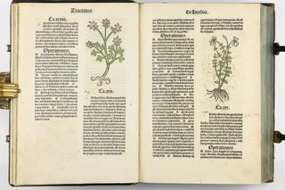 Hortus Sanitatis.