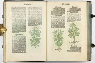 Hortus Sanitatis.