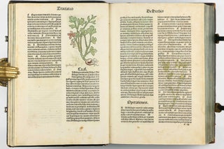 Hortus Sanitatis.