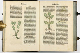 Hortus Sanitatis.