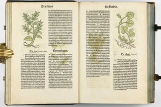 Hortus Sanitatis.