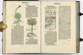 Hortus Sanitatis.